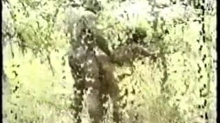 Afrikalı pornosu, Köpekleme tarzı, Dışarıda, Gerçek