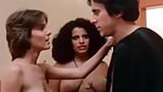 Vintage 70s Porn - Reunion (1976)